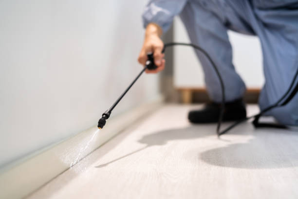 Licensed Termite Control service in Fayette County County, GA - Nex Pest Control