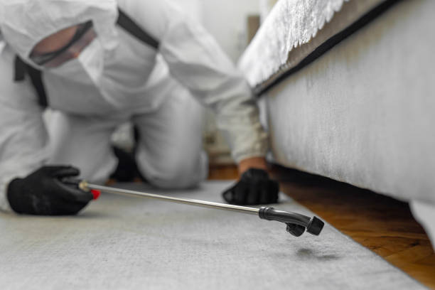 Professional Termite Control technician working in Fayette County County, GA